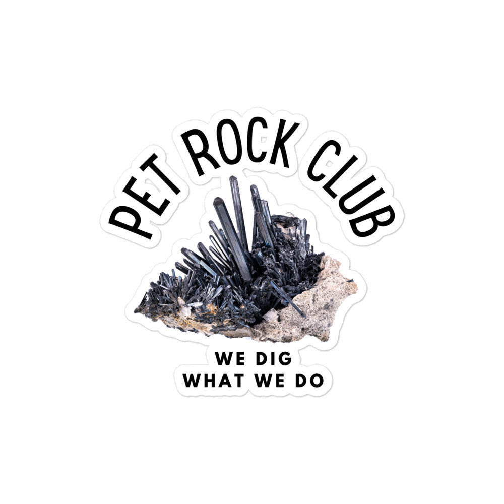 Pet Rock Club Vinyl Stickers