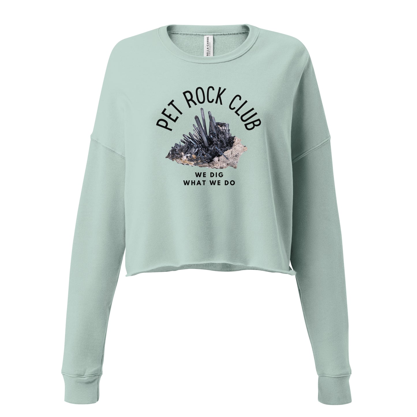 Pet Rock Club Crop Sweatshirt