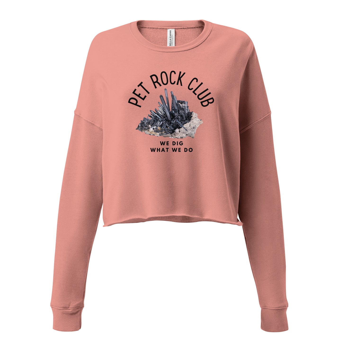 Pet Rock Club Crop Sweatshirt